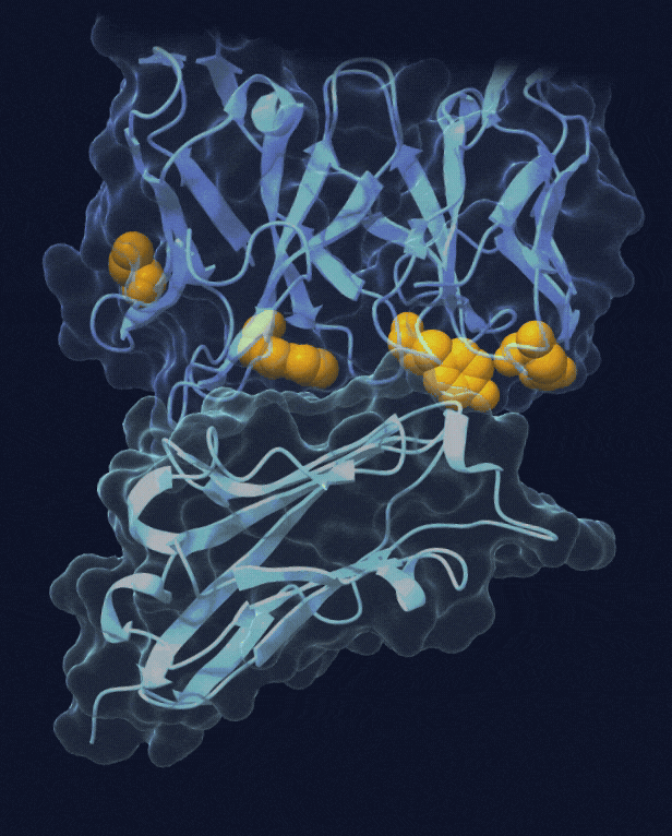 Understanding how binding really happens