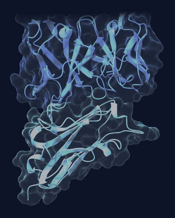 Testing better protein designs digitally
